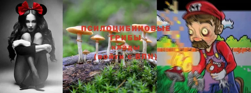 Псилоцибиновые грибы Magic Shrooms  Лиски 